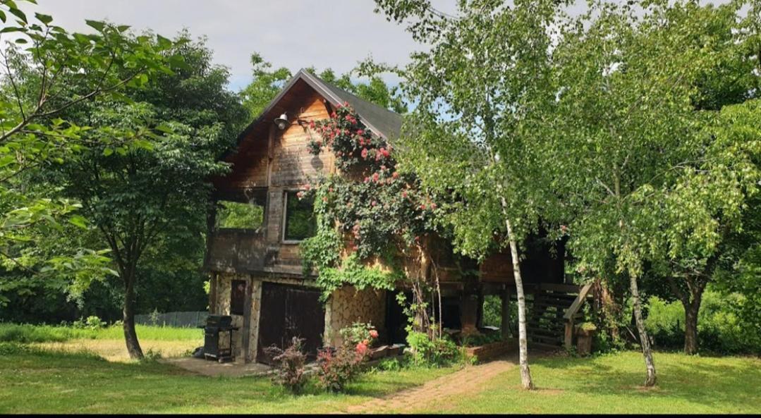 Log Cabin Белград Екстериор снимка