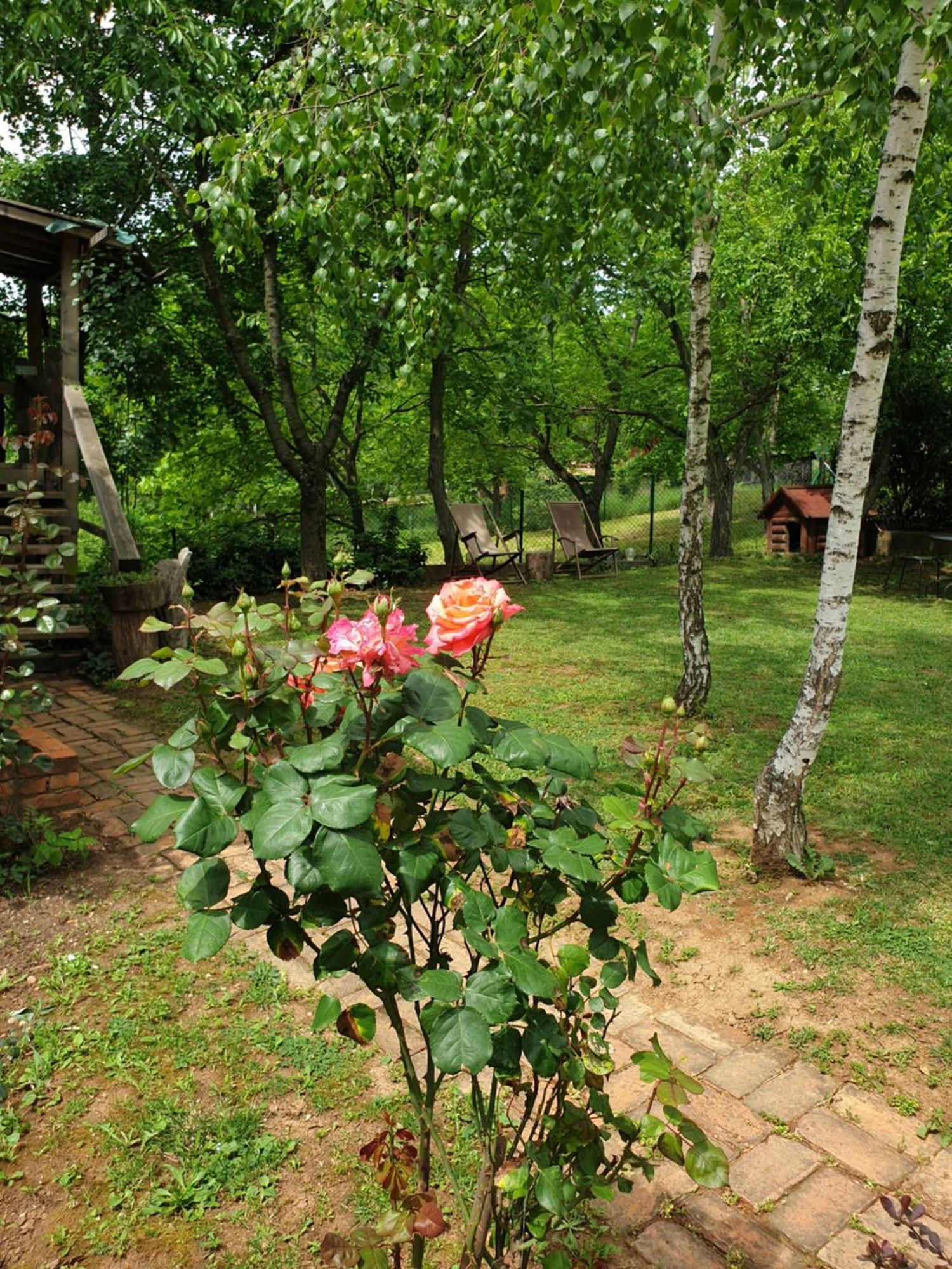 Log Cabin Белград Екстериор снимка